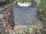 image of grave number 790734